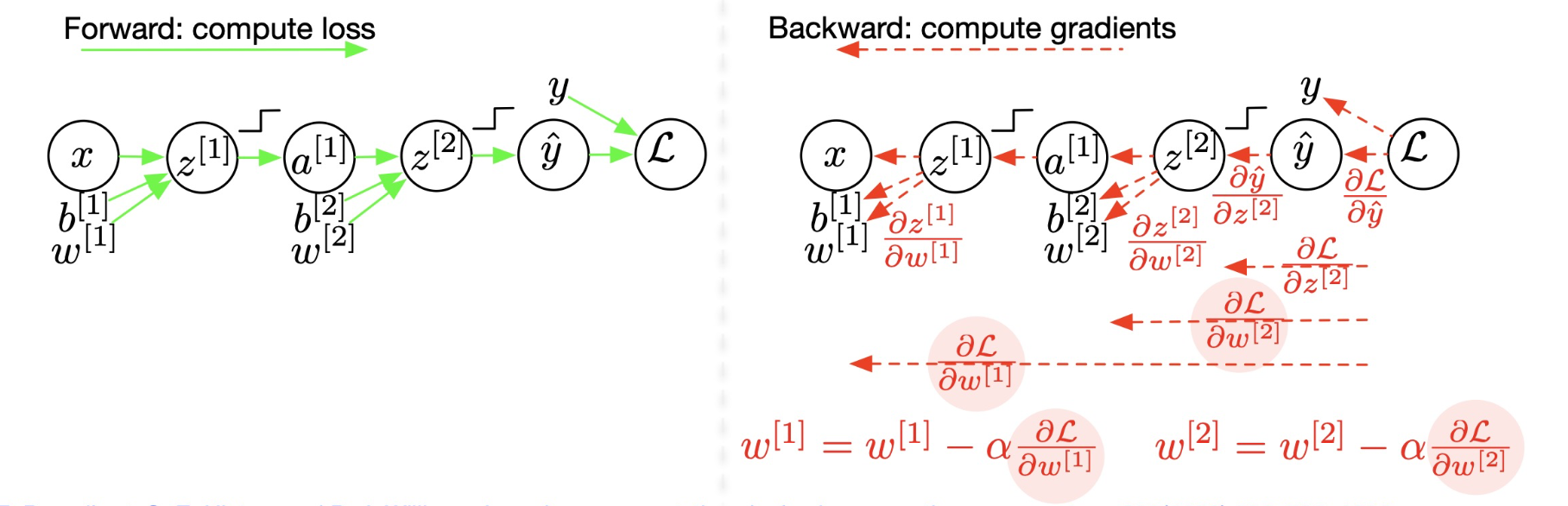Forward - Back propagation
